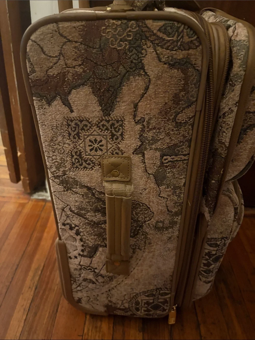 Pegasus Brown Patterned Travel Carry-On Bag for Women